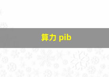 算力 pib